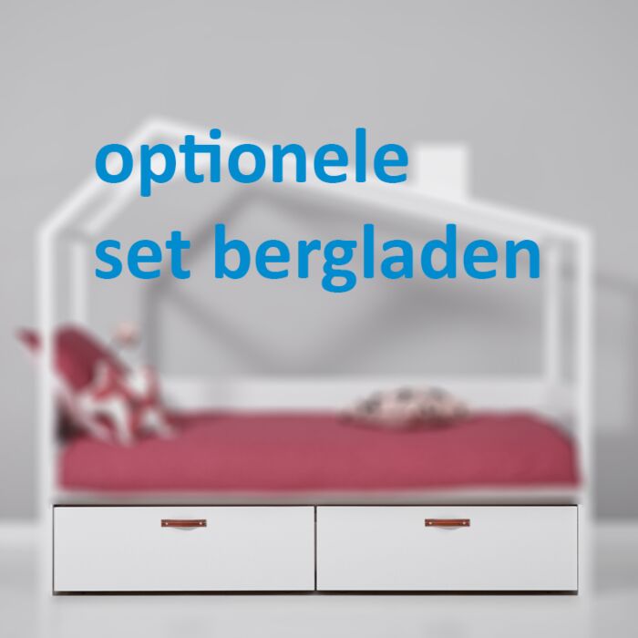 LT CK set van 2 bergladen main product photo