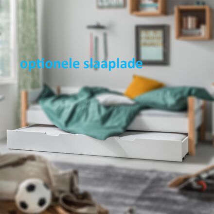 Color slaaplade wit.jpg